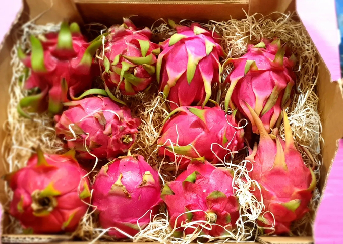 A 400-gram Vietnamese dragon fruit can be sold for 150,000 to 200,000 VND in the UK.