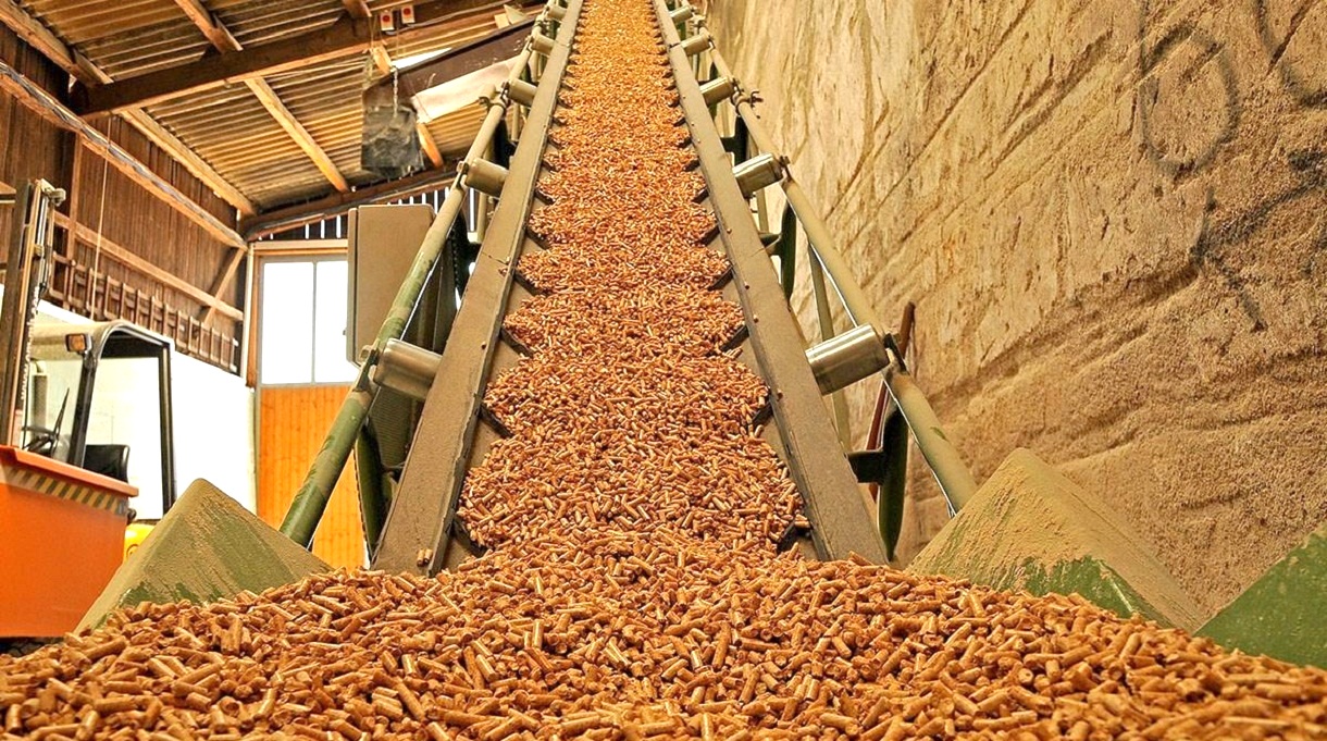 Bên cạnh đó, nhà máy sản xuất viên nén gỗ ở Bình Định cũng mọc nhiều như nấm. Ảnh: V.Đ.T.