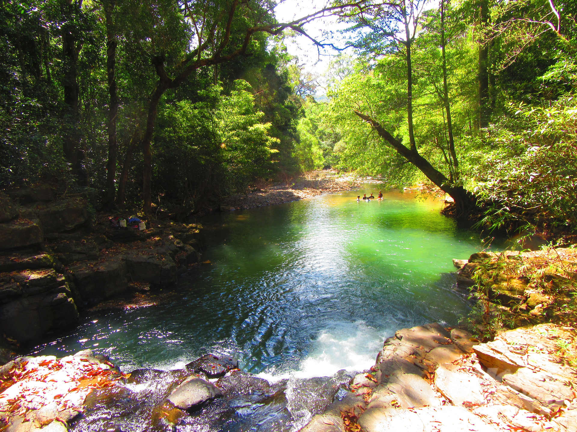 Bên trong Vườn quốc gia Bù Gia Mập có những con suối, thác nước đẹp như tranh vẽ. Ảnh: Hồng Thủy. 