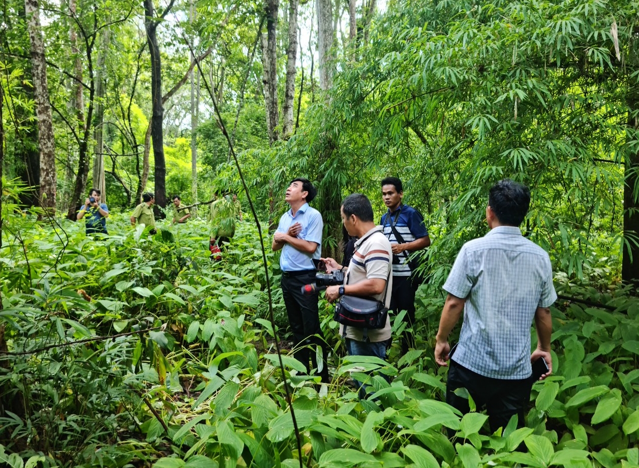 Sở NN-PTNT Bình Thuận đã thành lập đoàn kiểm tra và khẳng định diện tích rừng quý hiếm đều nằm ngoài dự án hồ chứa nước Ka Pét. Ảnh: TS.