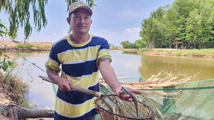 Mô hình chuyển đổi sinh kế từ khai thác hải sản ven bờ sang nuôi trồng thủy sản dưới tán rừng do Dự án WB9 hỗ trợ cho người dân huyện Cù Lao Dung, tỉnh Sóc Trăng. Ảnh: Kim Anh.