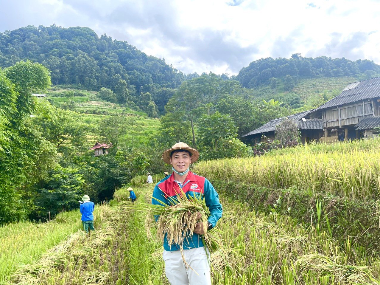 Sau khi thu hoạch, Tập đoàn Quế Lâm cam kết thu mua lúa cho bà con với giá 15.500 đồng/kg lúa Tẻ Râu đã phơi khô, quạt sạch. Ảnh: Hoàng Anh.