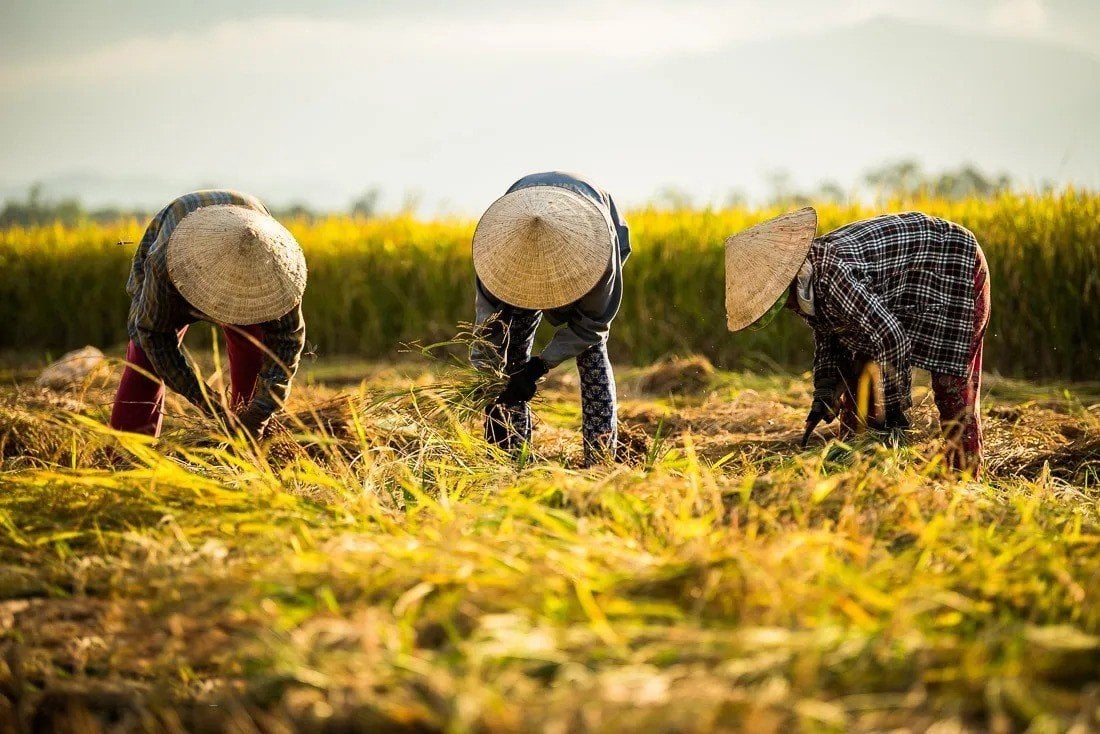 Thousands of years of ups and downs by the fields and rice, Vietnam continues to make firm steps into the future.