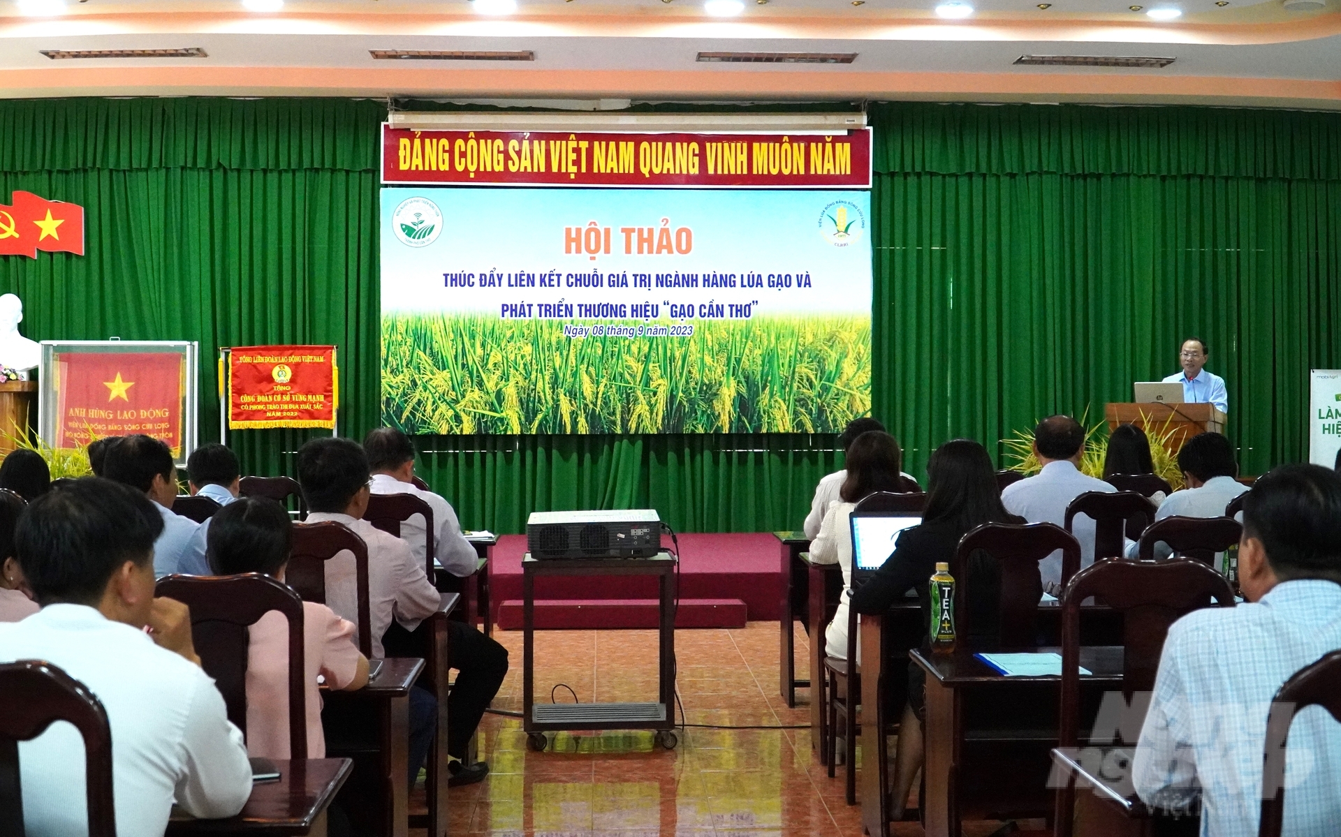 Hội thảo Thúc đẩy liên kết chuỗi giá trị ngành hàng lúa gạo và phát triển thương hiệu 'Gạo Cần Thơ'. Ảnh: Kim Anh.