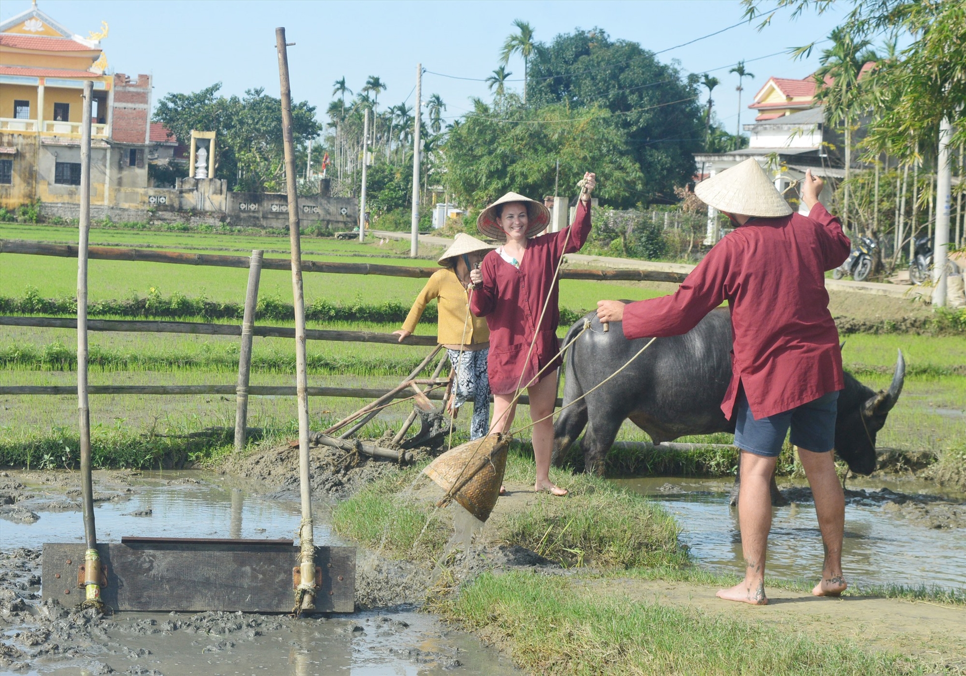 Foreigners in the field in the outskirts of Hoi An.