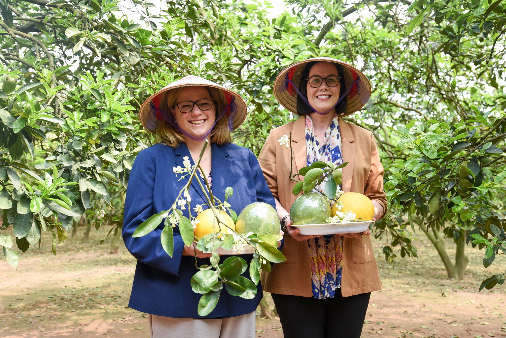 Two Deputy Ministers of the US Department of Agriculture visited the Dien grapefruit growing area on the outskirts of Hanoi. Photo: Tung Dinh.