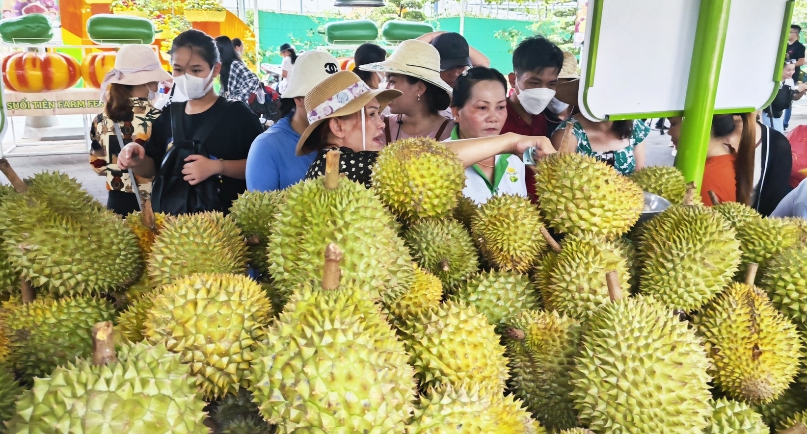 Durian is forecast to reach an export turnover of more than 2 billion USD in 2023.