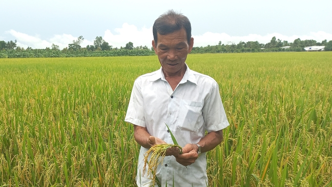 A technology system is needed to report, measure, and identify carbon market access priorities in the rice sector. Photo: Kim Anh.