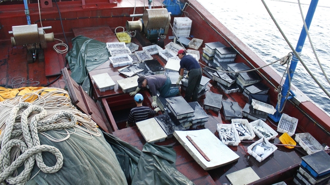 Marine exploitation efficiency was given a boost thanks to rapid mechanization. Photo: Dinh Muoi.