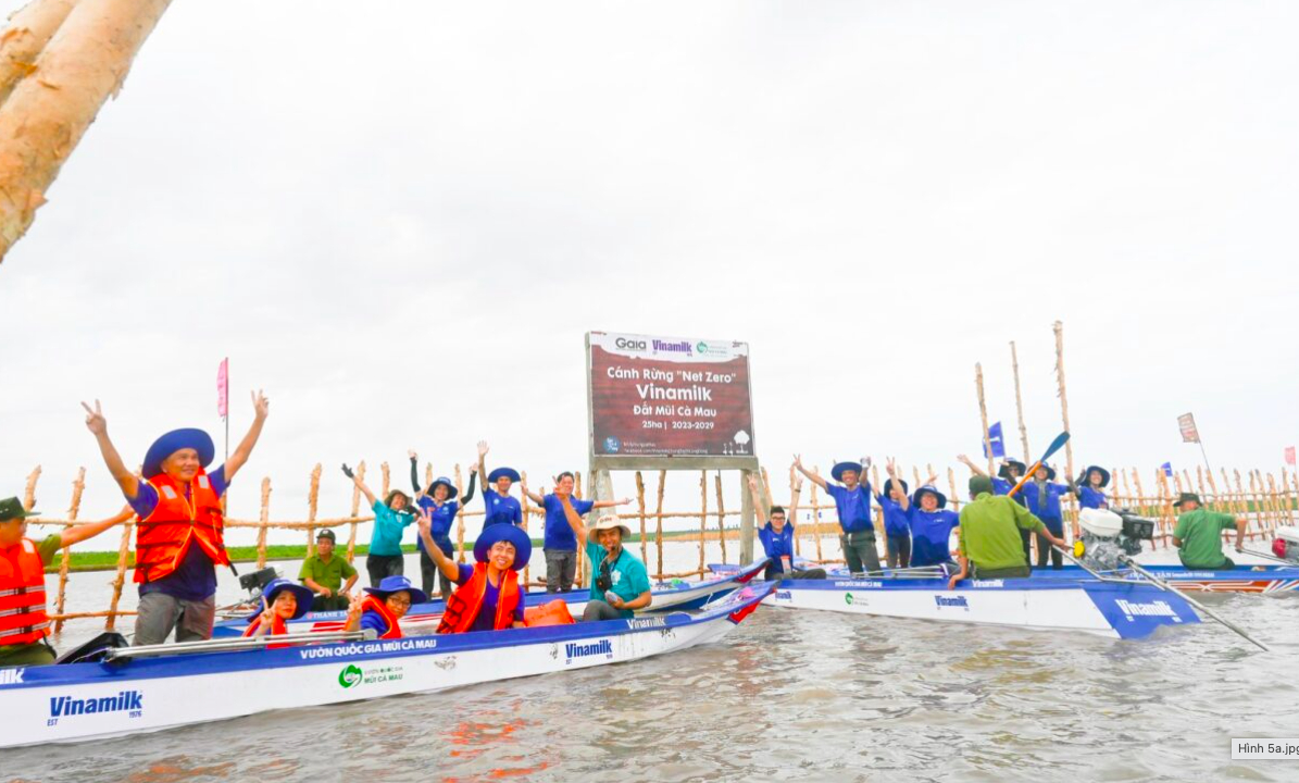 Nhân viên Vinamilk tham gia khoanh nuôi tái sinh rừng ngập mặn có diện tích 25ha do công ty thực hiện tại Cà Mau.