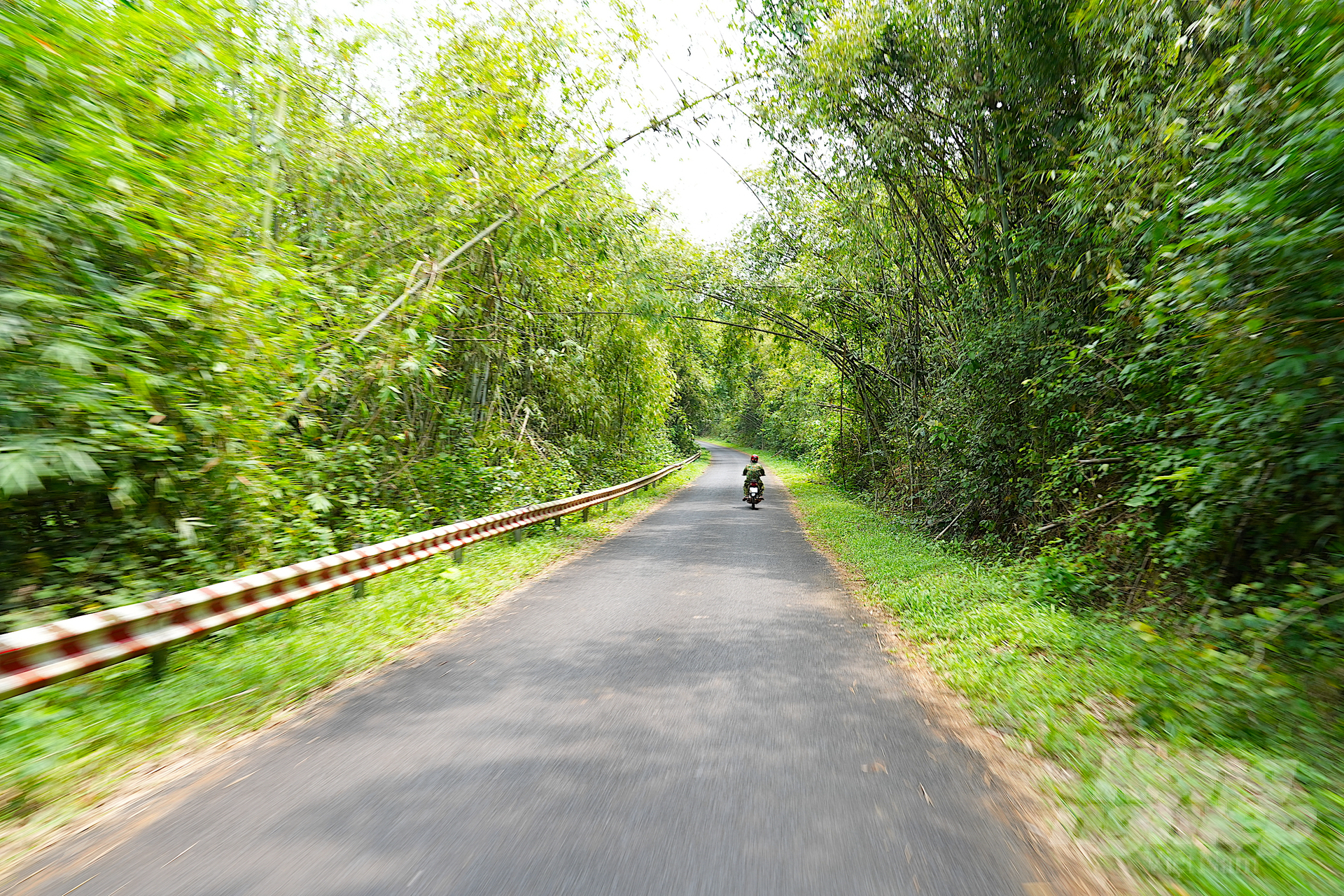 Highway 14C passes through Bu Gia Map National Park to Dak Nong province. Photo: Hong Thuy.