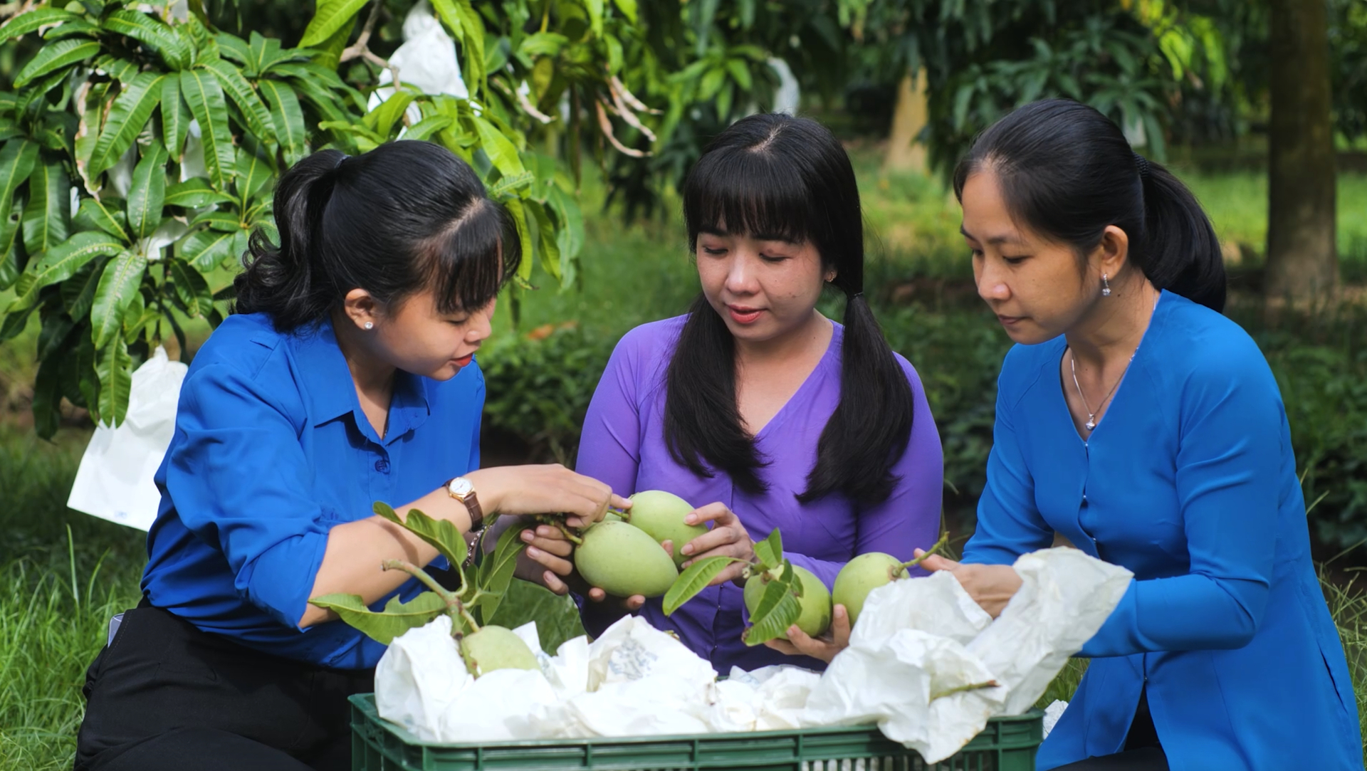 Proper cultivation following 'standard' procedures is important for Vietnamese fruit products to have a foothold in markets.
