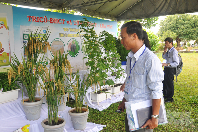 Chế phẩm Trico-ĐHCT do Đại học Cần Thơ nghiên cứu được chuyển giao ứng dụng hiệu quả trên cây trồng ở ĐBSCL. Ảnh: Hữu Đức.