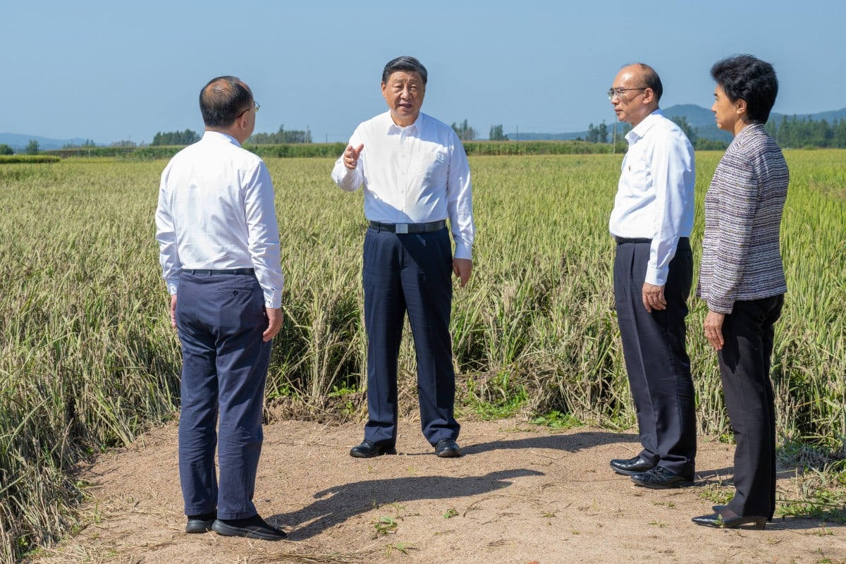 Ông Tập Cận Bình thăm ruộng lúa bị ảnh hưởng bởi lũ lụt ở khu vực ngoại ô thành phố Thượng Chí, tỉnh Hắc Long Giang, Trung Quốc hôm 7/9. Ảnh: Xinhua.