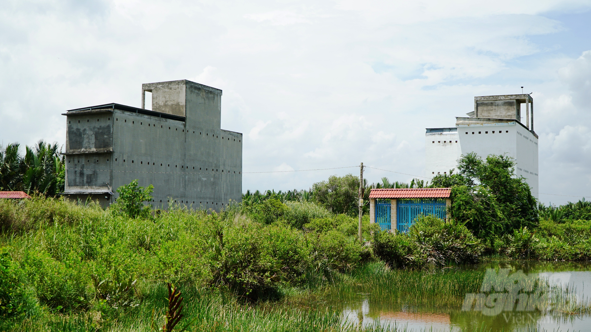 With more than 500 bird nest farms, Can Gio accounts for nearly 75% of the total bird nest farms in Ho Chi Minh City. Photo: Le Binh.