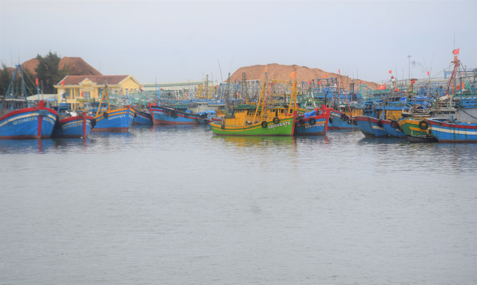 Hiện Bình Định đã bố trí, sắp xếp nơi để tàu thuyền ra vào tránh trú bão với sức chứa 5.600 chiếc. Ảnh: V.Đ.T.