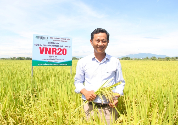 VNR20 là giống lúa thích hợp sản xuất được cả 2 vụ trong năm và là giống chủ lực của Vinaseed. Ảnh: Lê Khánh.