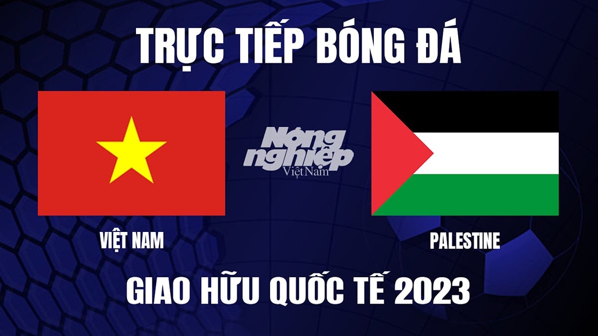 Trực tiếp bóng đá Giao hữu giữa Việt Nam vs Palestine hôm nay 11/9/2023