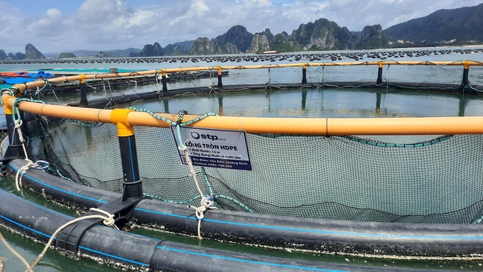 Mô hình nuôi biển áp dụng KHCN giúp bảo vệ môi trường biển ở Quảng Ninh. Ảnh: Nguyễn Thành.