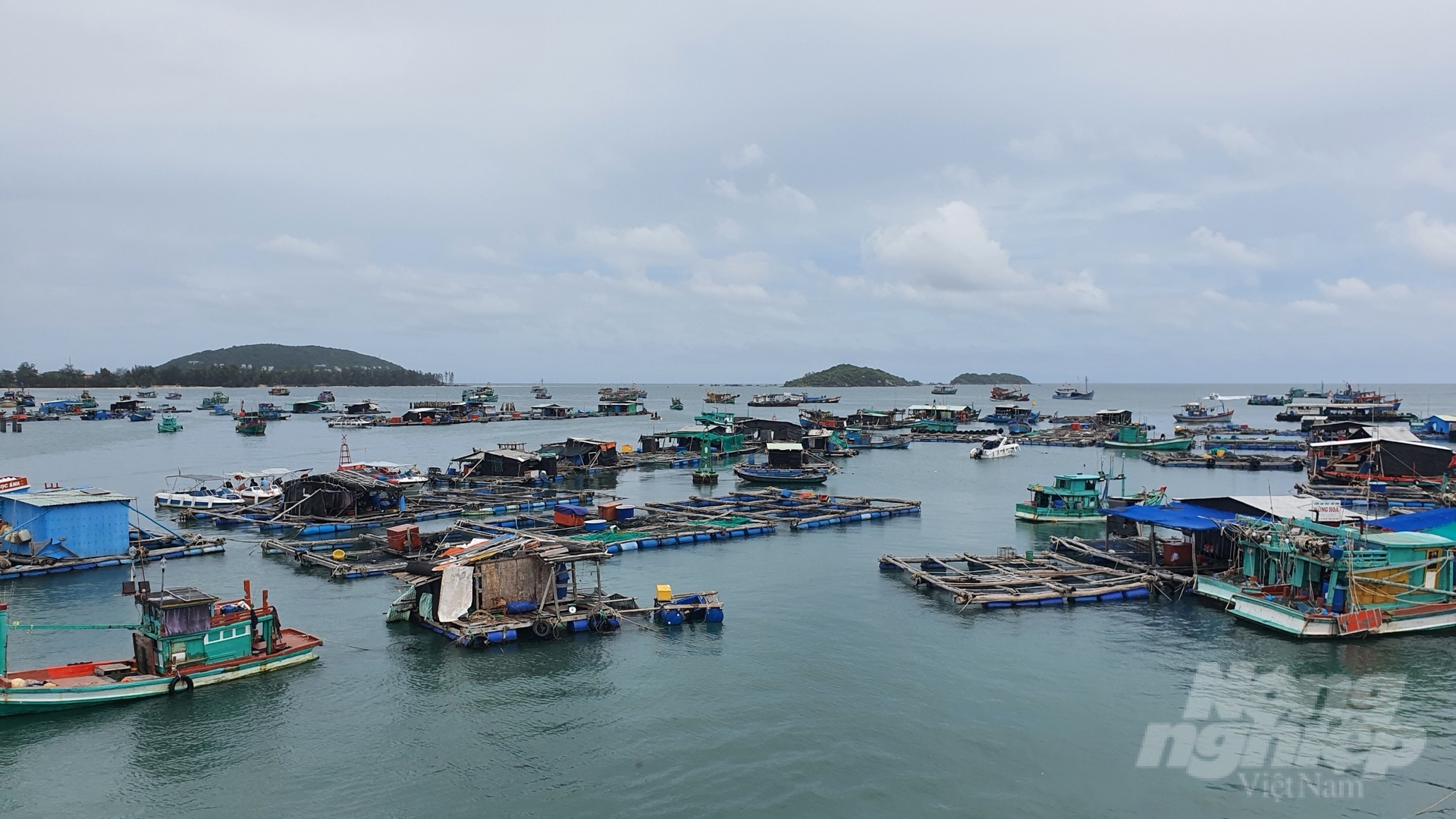 Fishing boats anchored at the Phu Quoc district pier. Photo: Kien Trung.