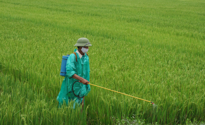 Các dịch vụ nông nghiệp, vật tư phân bón tăng cao là một trong những nguyên nhân khiến nông dân không mặn mà với ruộng vụ hè thu. Ảnh: Tâm Đức.