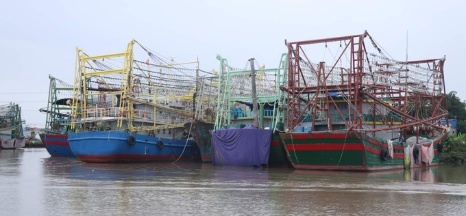 Hải Phòng là địa phương có lượng tàu đánh bắt hải sản xa bờ lớn. Đến nay, hầu như các tàu đều sử dụng đèn LED. Ảnh: Đinh Mười.