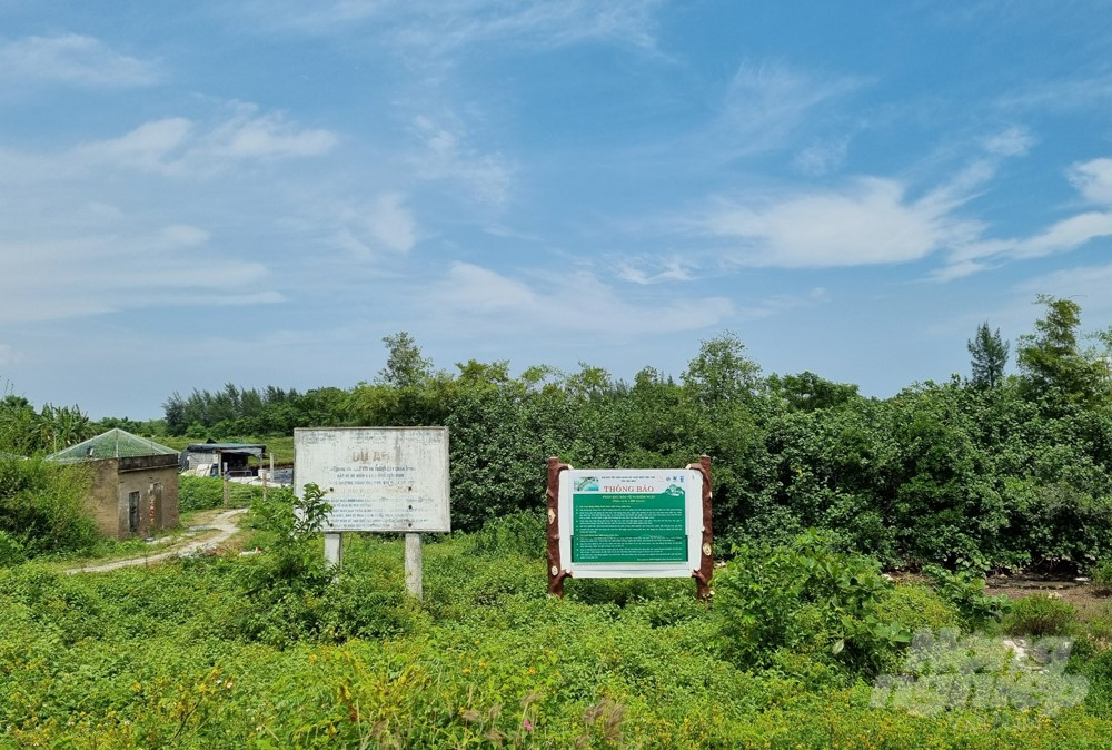 According to Thai Binh province, at the time of approval of the Conservation Area in Decision 2159, the scale and area were not accurately measured, leading to errors. Photo: Kien Trung.