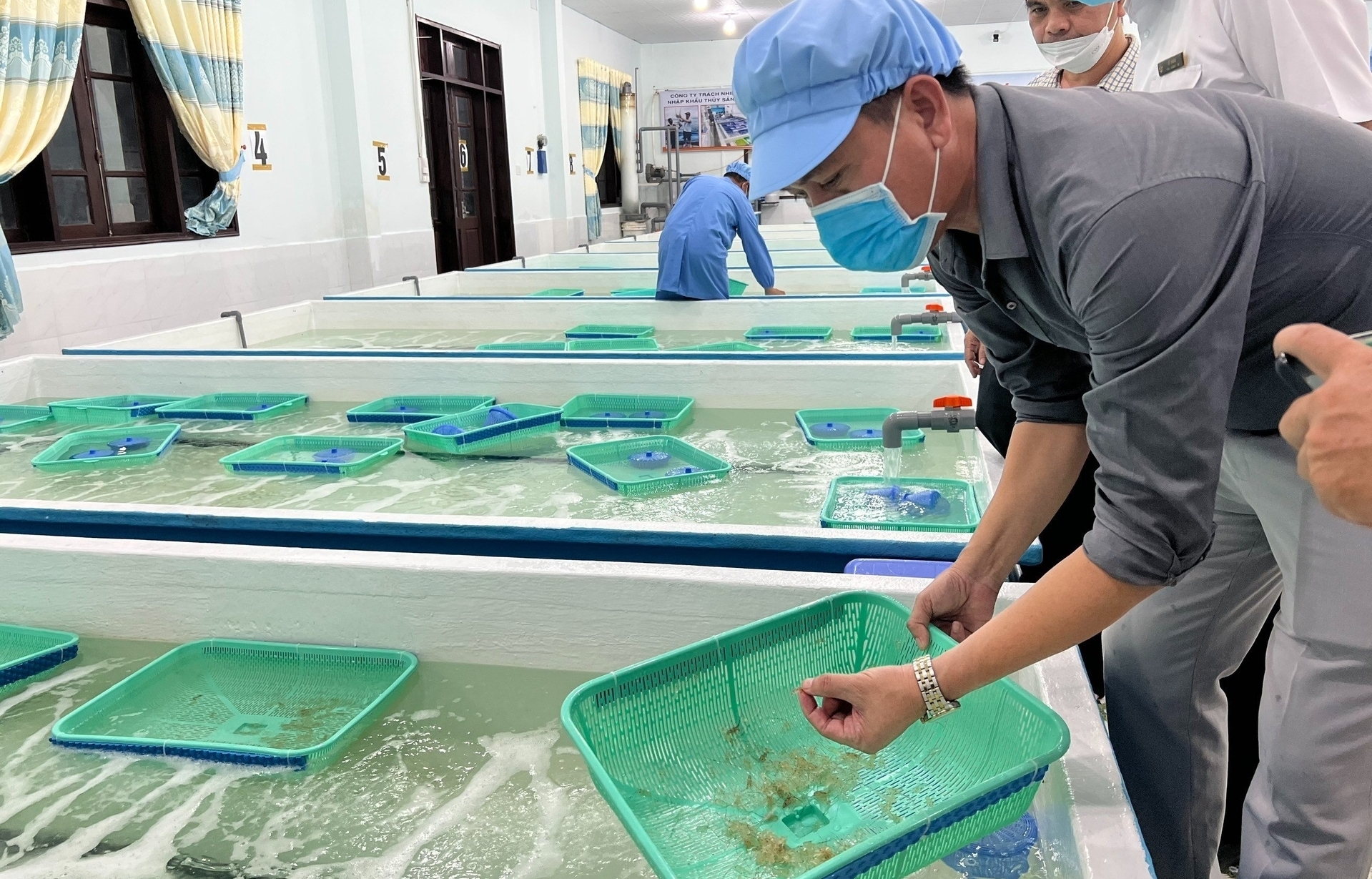 Khu kiểm dịch nhập khẩu tôm hùm giống về theo dõi cách ly tại tỉnh Khánh Hòa. Ảnh: KS.