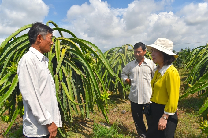 Đại diện chủ vườn chia sẻ về quá trình xử lý tuyến trùng trên thanh long với chuyên gia của Cục Bảo vệ thực vật. Ảnh: Minh Đảm.