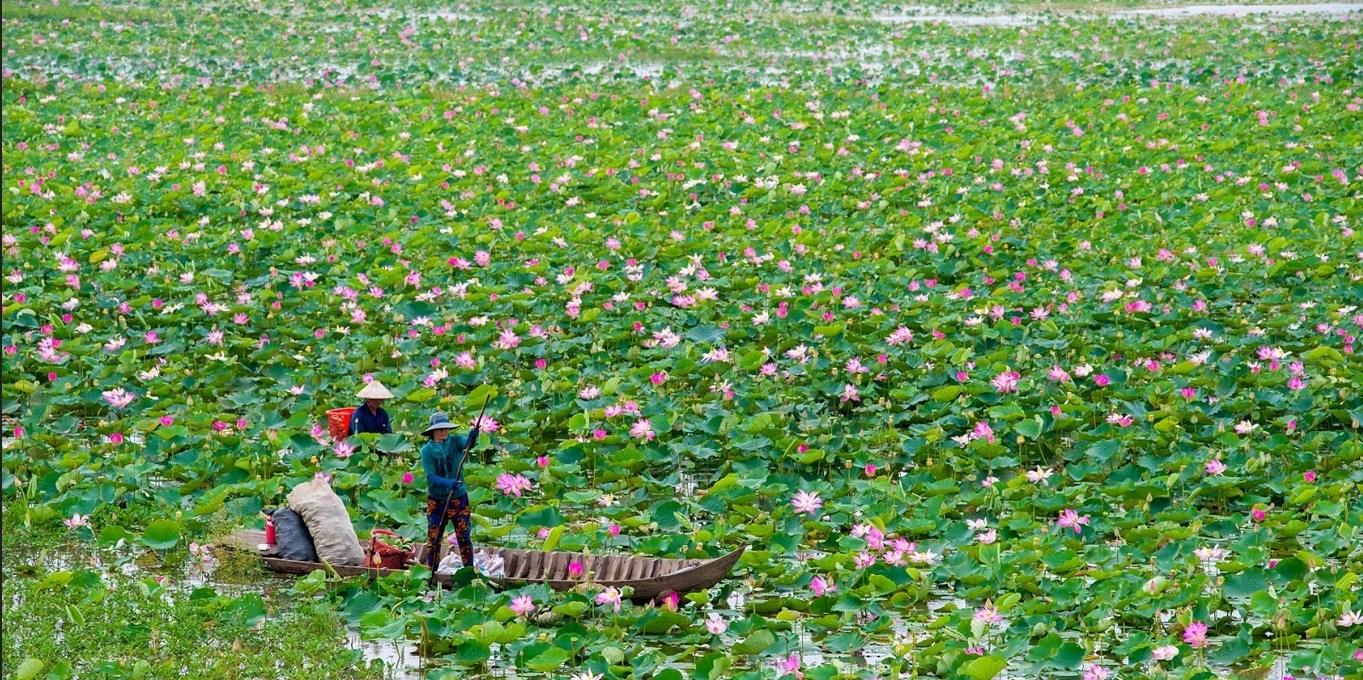 Phòng NN-PTNT ở các huyện hoặc Phòng Kinh tế ở các thị xã, thành phố thuộc tỉnh, thành phố thuộc thành phố trực thuộc Trung ương là cơ quan chuyên môn thuộc UBND cấp huyện; tham mưu, giúp UBND cấp huyện thực hiện chức năng quản lý nhà nước ở địa phương về: nông nghiệp; lâm nghiệp; diêm nghiệp; thủy lợi; thủy sản; phòng, chống thiên tai; chất lượng, an toàn thực phẩm nông sản, lâm sản, thủy sản và muối; phát triển nông thôn; phát triển kinh tế hộ; kinh tế trang trại nông thôn; kinh tế hợp tác xã nông, lâm, ngư, diêm nghiệp gắn với ngành nghề, làng nghề ở nông thôn và thực hiện một số nhiệm vụ, quyền hạn theo sự ủy quyền của UBND cấp huyện và theo quy định của pháp luật.