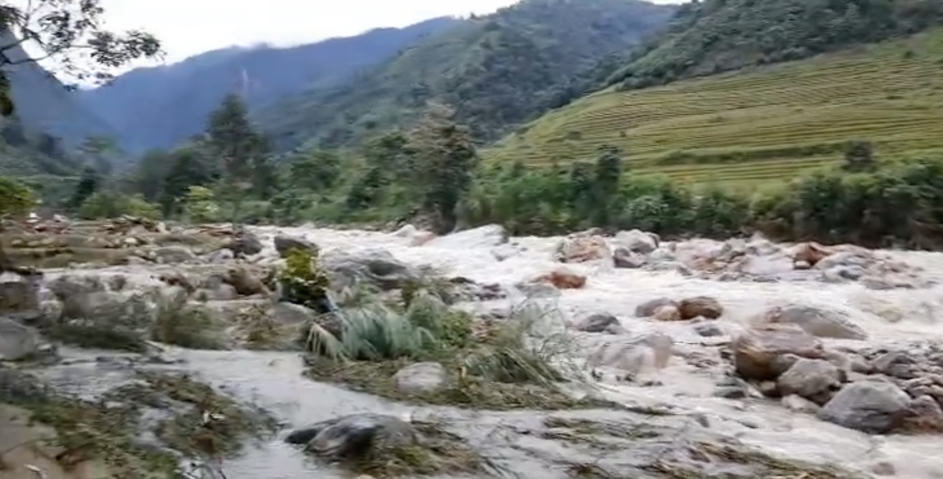 Khu vực suối Nậm Cang đoạn chảy qua khu vực người dân canh tác lúa. 