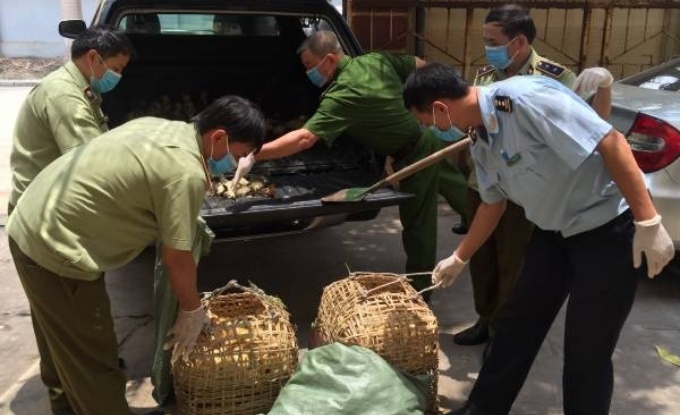 The Ministry of Agriculture and Rural Development requested Quang Ninh province to strengthen control of the smuggling and trade of poultry and poultry products across the border.