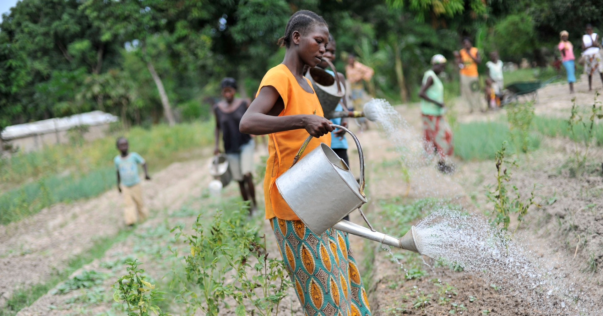 FAO will launch a global assessment on irrigation needs and irrigation potential.