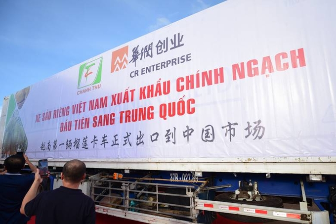 Since being officially exported to China, the export value of Vietnamese durian has increased sharply.