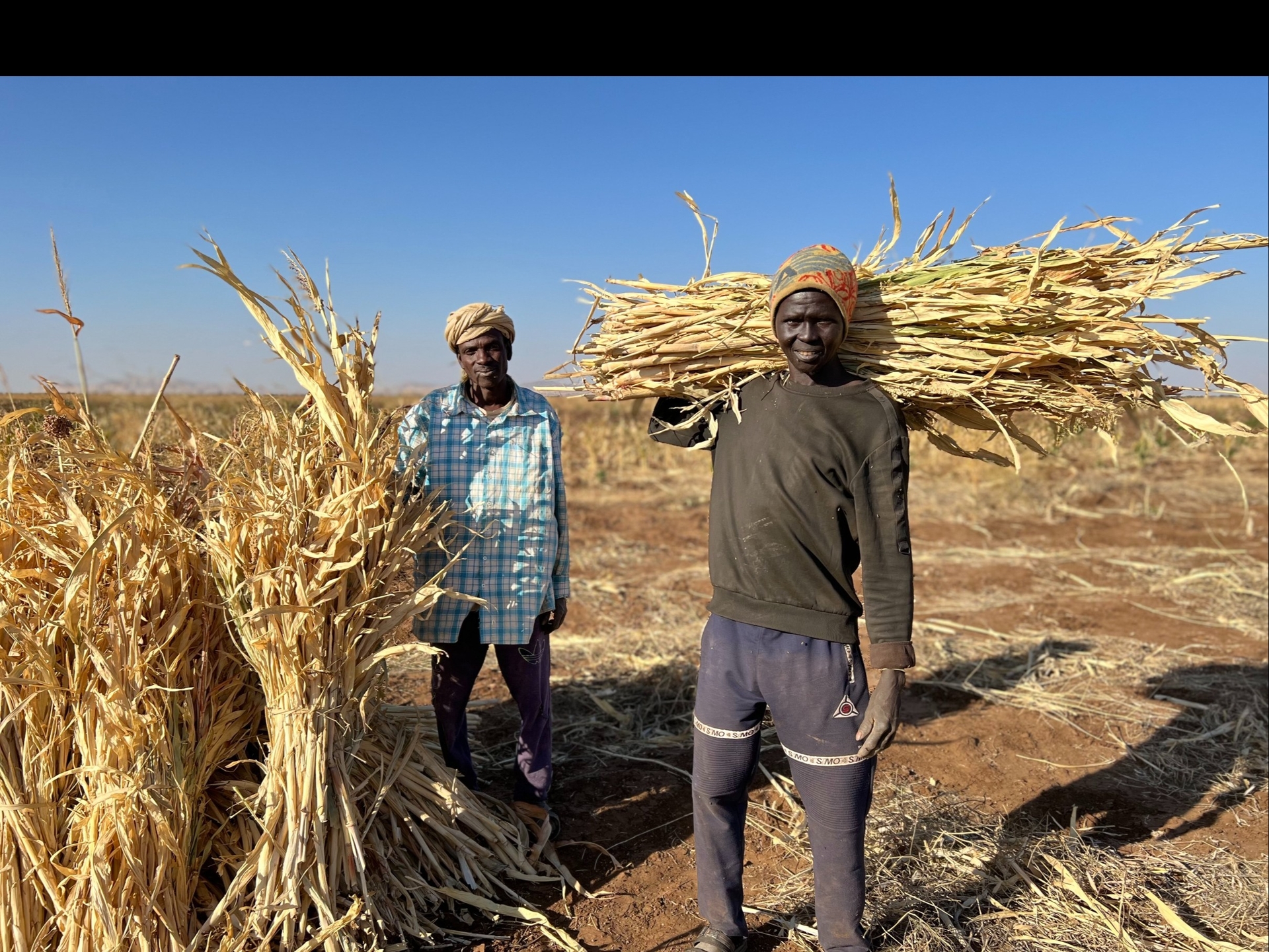 Much of the support to most vulnerable farming and livestock herding households will be delivered using a combination of unconditional cash assistance and livelihood input packages combined with training.