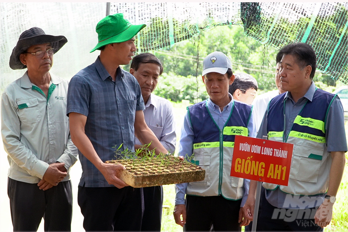 Tại tỉnh Quảng Trị, nhiều tổ khuyến nông cộng đồng bước đầu đã hoạt động hiệu quả. Ảnh: Võ Dũng.