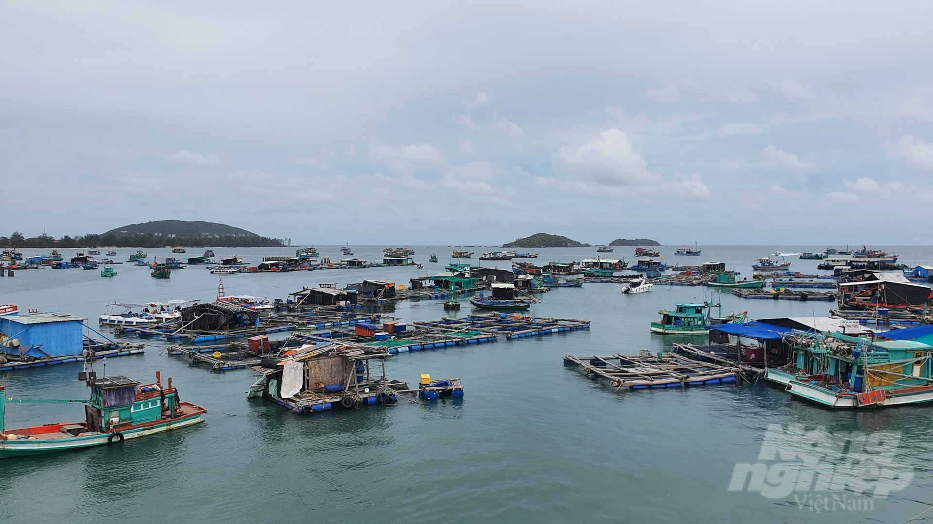 Fishing vessels anchored at a pier in Phu Quoc district. Photo: Kien Trung.