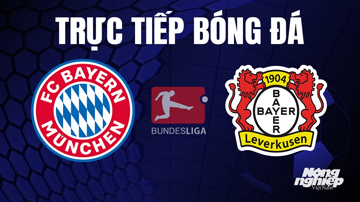 Trực tiếp bóng đá Bundesliga (VĐQG Đức) 2023/24 giữa Bayern Munich vs Leverkusen hôm nay 16/9/2023