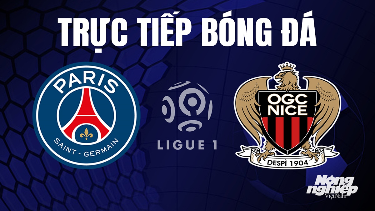 Trực tiếp bóng đá Ligue 1 (VĐQG Pháp) 2023/24 giữa PSG vs Nice hôm nay 16/9/2023