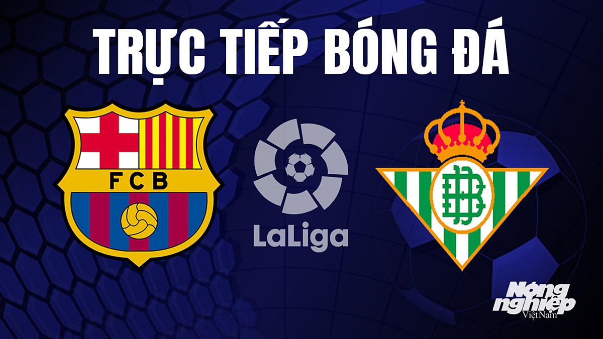 Trực tiếp bóng đá La Liga 2023/24 giữa Barcelona vs Real Betis hôm nay 17/9/2023