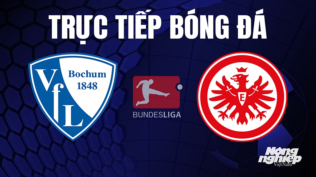 Trực tiếp bóng đá Bundesliga 2023/24 giữa Bochum vs Eintracht Frankfurt hôm nay 16/9/2023