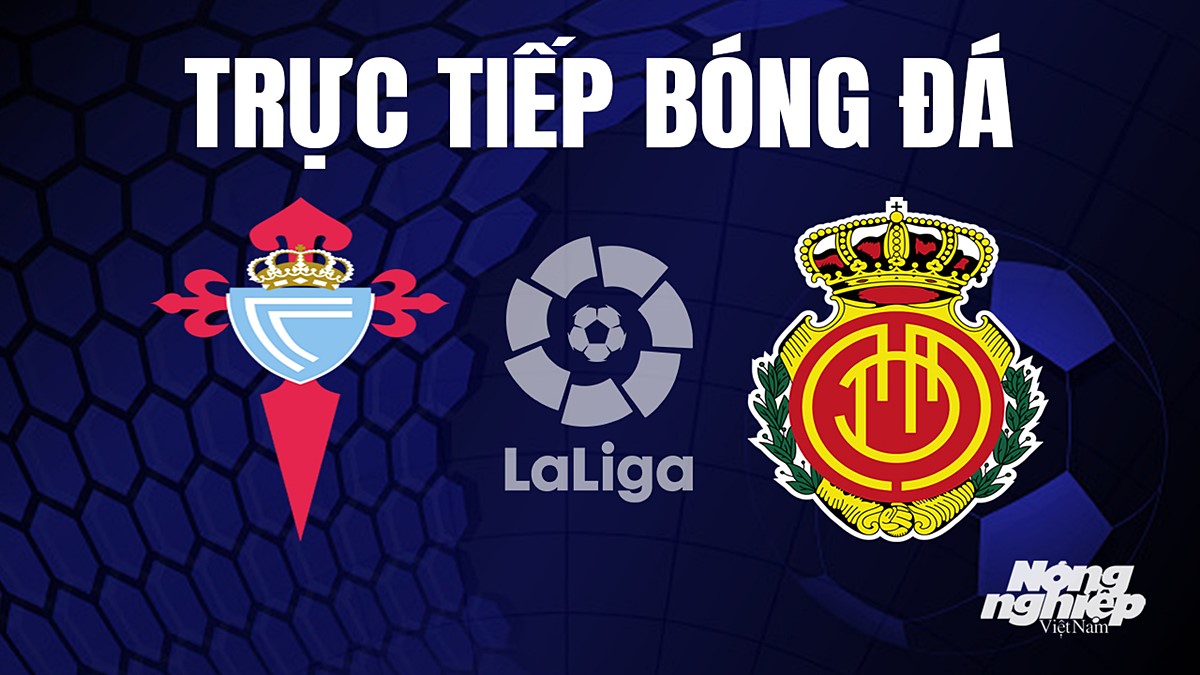 Trực tiếp bóng đá La Liga 2023/24 giữa Celta Vigo vs Mallorca hôm nay 16/9/2023