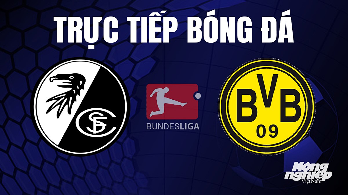 Trực tiếp bóng đá Bundesliga (VĐQG Đức) 2023/24 giữa Freiburg vs Dortmund hôm nay 16/9/2023