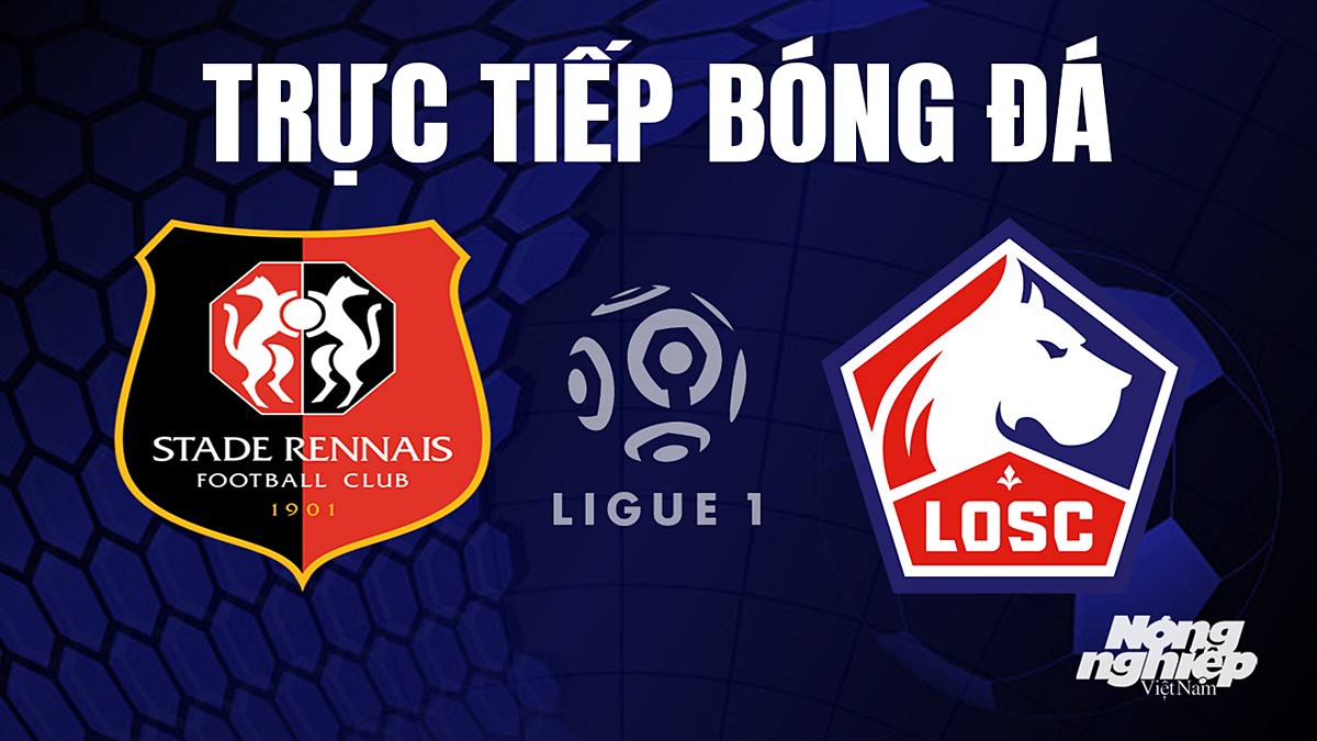 Trực tiếp bóng đá Ligue 1 (VĐQG Pháp) 2023/24 giữa Rennes vs Lille hôm nay 16/9/2023