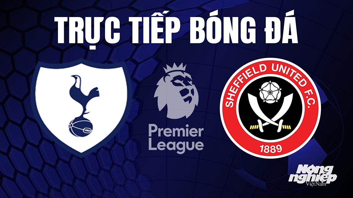 Trực tiếp bóng đá Ngoại hạng Anh giữa Tottenham vs Sheffield United hôm nay 16/9/2023