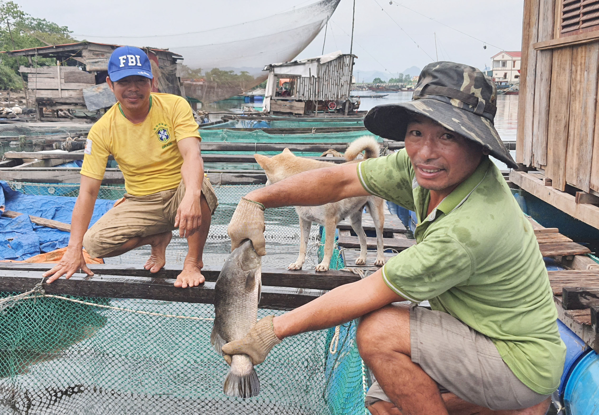 Nuôi cá lồng ven sông cũng là khai thác tiềm năng, thế mạnh ở vùng nông thôn để tăng thu nhập cho người dân. Ảnh: T. Đức.