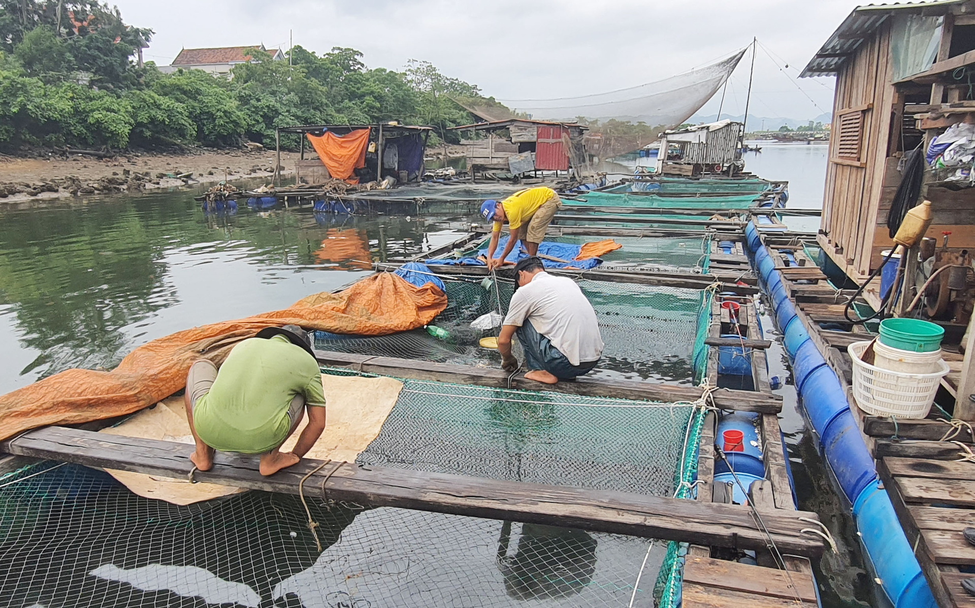 Hy vọng nghề nuôi cá nước ngọt phát triển mạnh ở vùng nông thôn Quảng Bình. Ảnh: T. Đức.