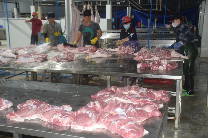 Cơ sở giết mổ động vật tập trung An Nhơn bố trí thêm bàn để các chủ gia súc tự ra thịt phù hợp với việc mua bán của mình. Ảnh: V.Đ.T.