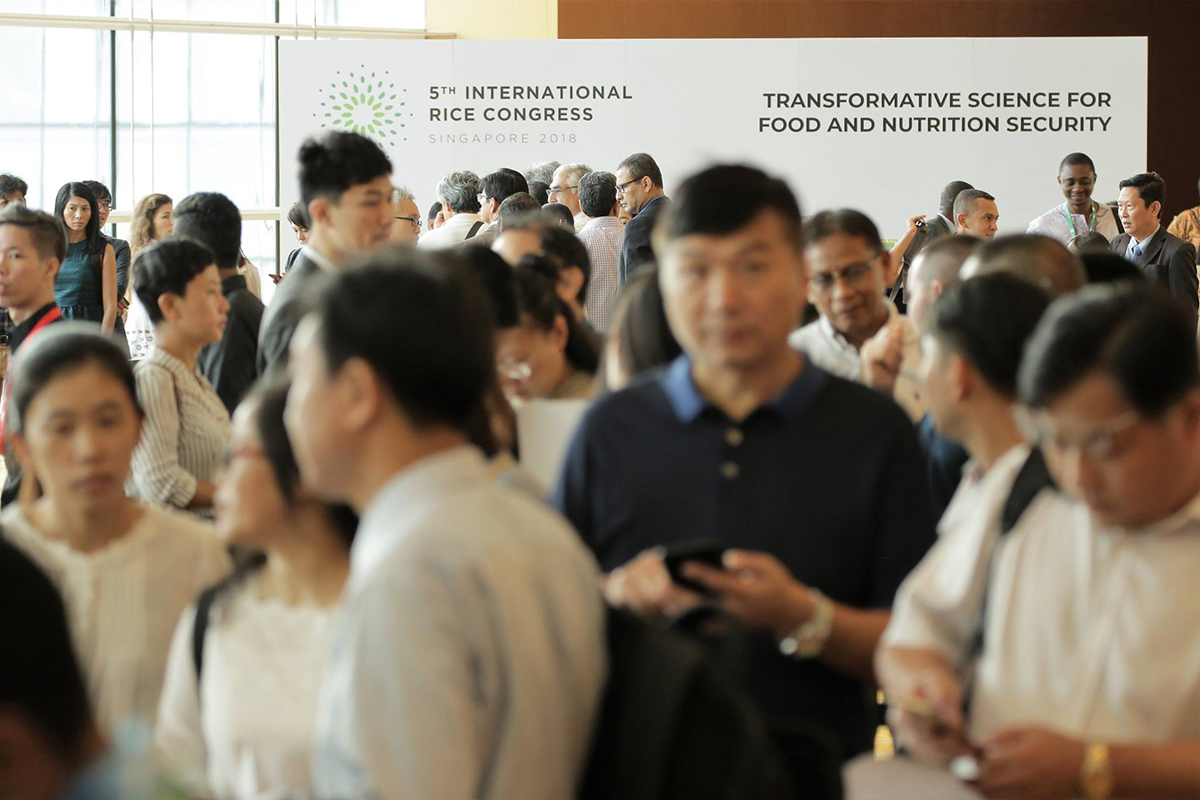 The International Rice Congress is the biggest gathering of thought leaders, scientists, policymakers, agriculture experts, and technology providers from the world of rice research and production. Photo: IRRI.