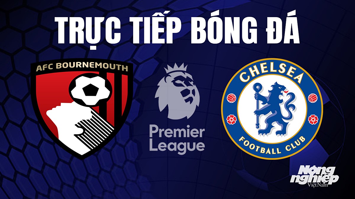 Trực tiếp bóng đá Ngoại hạng Anh giữa Bournemouth vs Chelsea hôm nay 17/9/2023